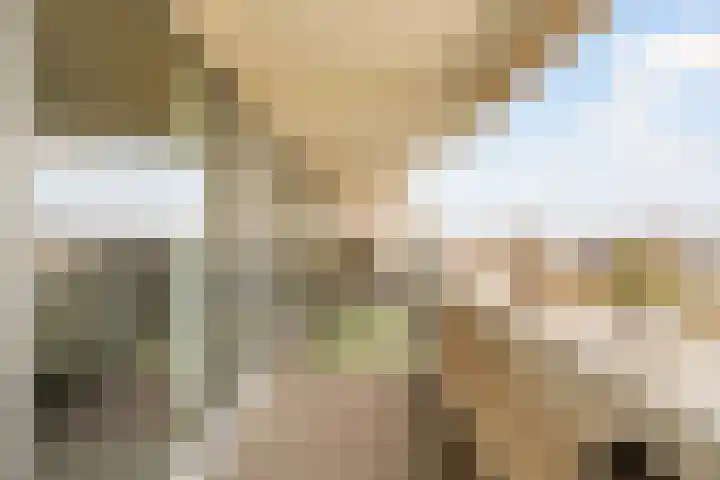 Duinroos 37 Noordwijk thumbnail 20