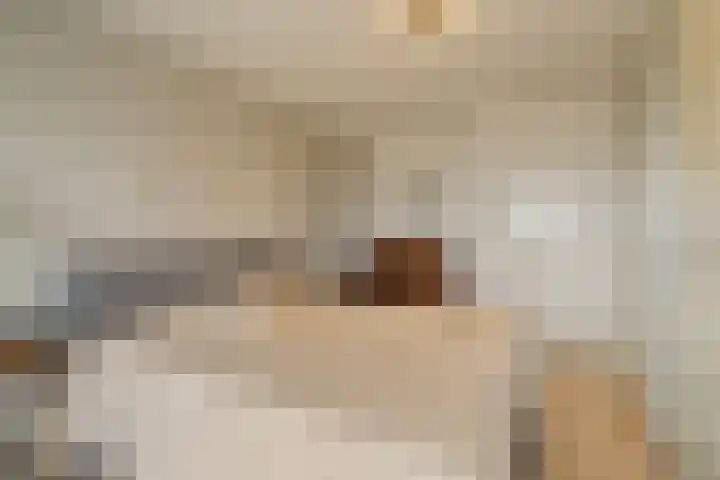 Duinroos 37 Noordwijk thumbnail 22