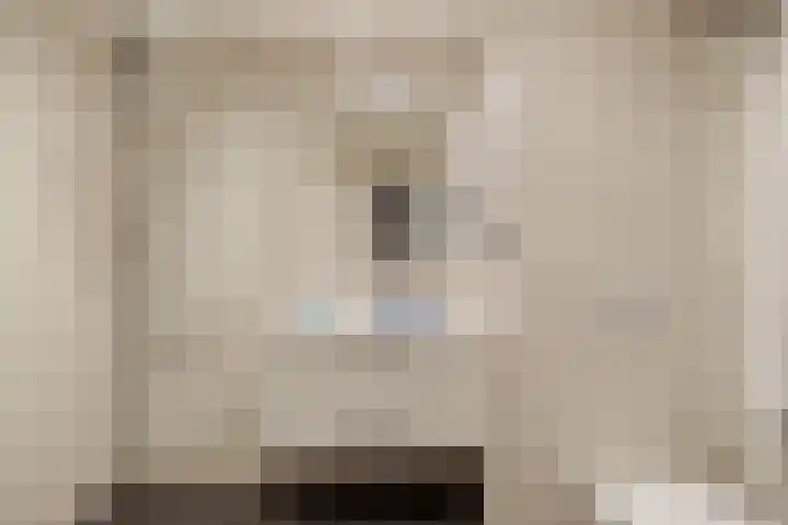 Duinroos 37 Noordwijk thumbnail 23