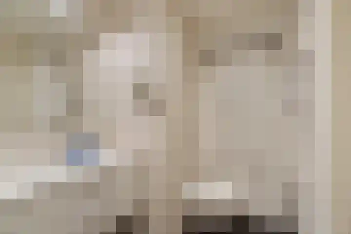 Duinroos 37 Noordwijk thumbnail 25