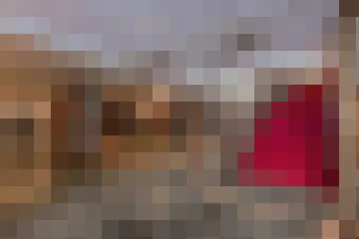 Duinroos 37 Noordwijk thumbnail 26