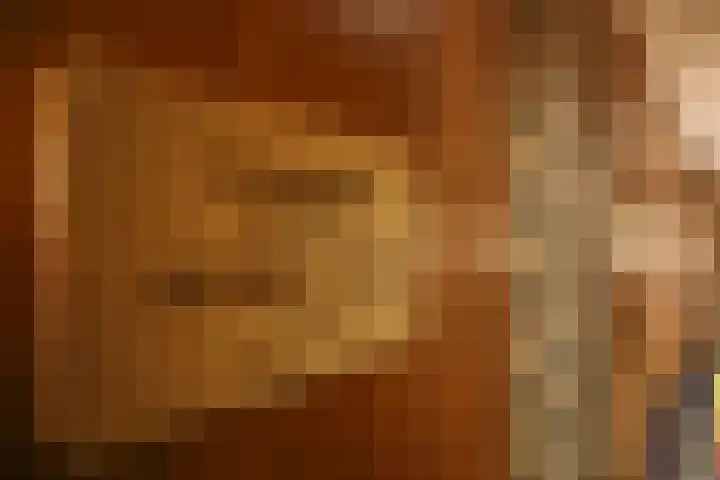 Duinroos 37 Noordwijk thumbnail 27