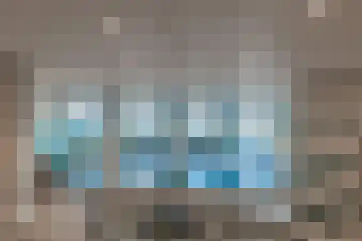 Duinroos 37 Noordwijk thumbnail 28