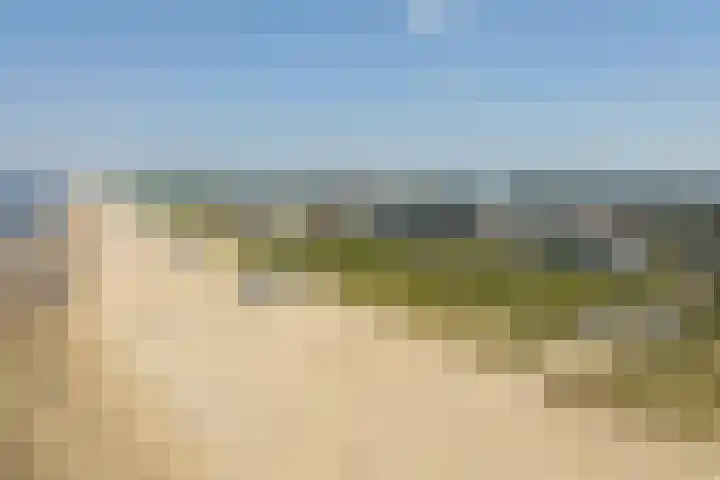 Duinroos 37 Noordwijk thumbnail 29