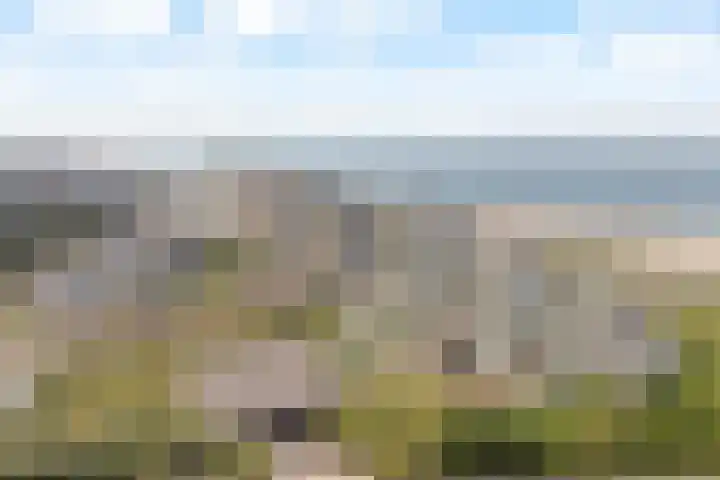 Duinroos 37 Noordwijk thumbnail 34