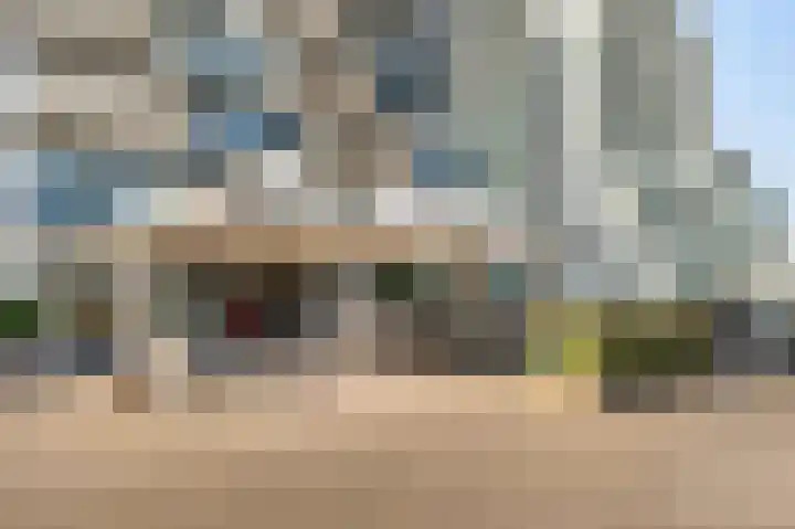 Duinroos 37 Noordwijk thumbnail 5