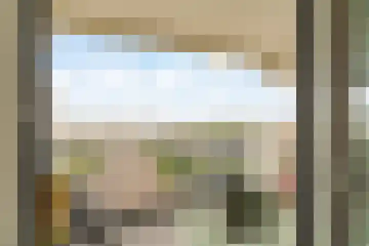 Duinroos 37 Noordwijk thumbnail 7
