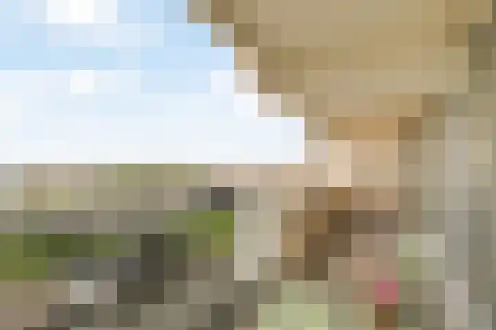 Duinroos 37 Noordwijk thumbnail 8