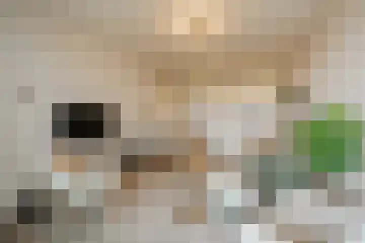 Duinroos 37 Noordwijk thumbnail 9