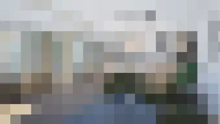 Duinroos 4 Emmeloord thumbnail 4