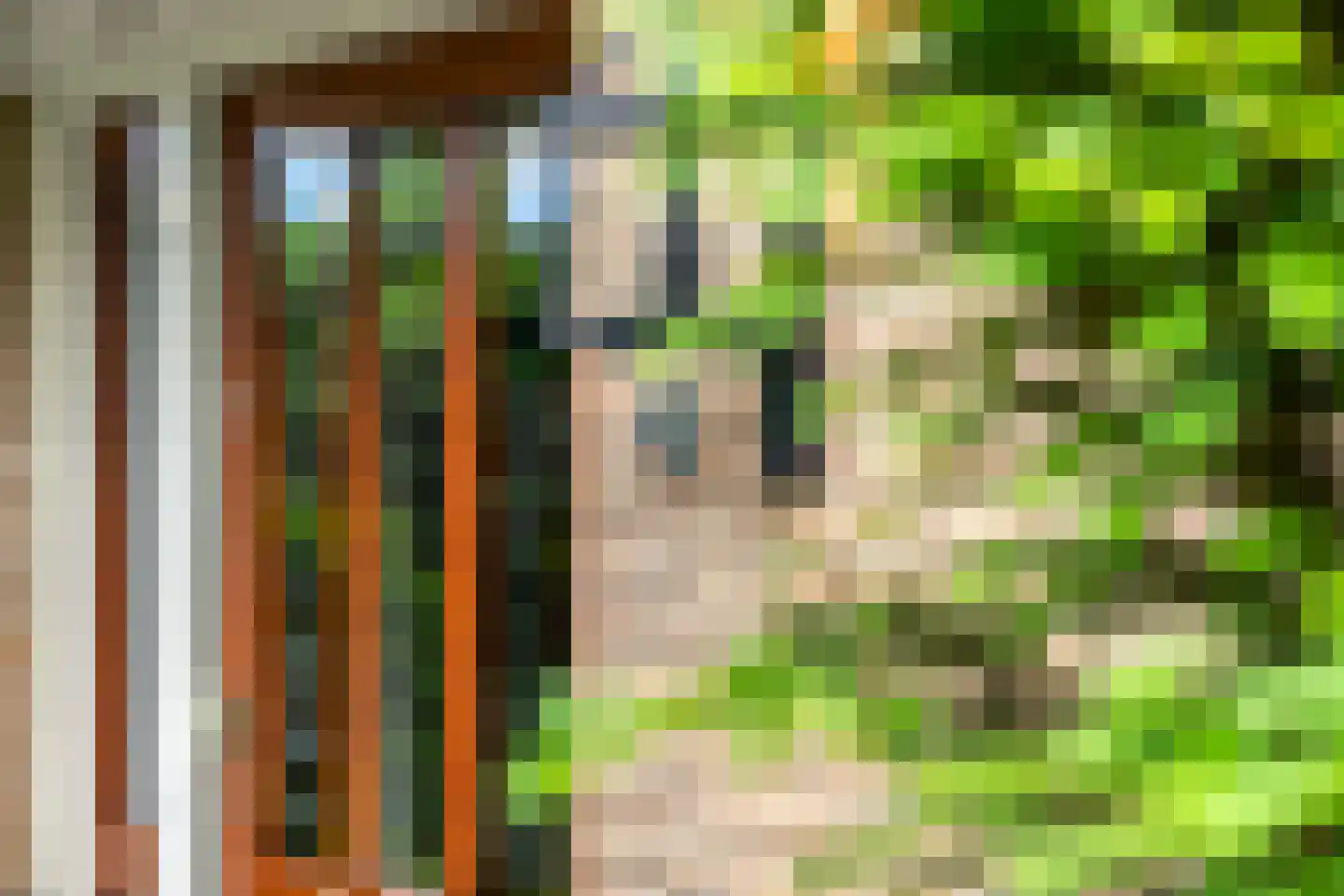 Duinroos 4 Leusden thumbnail 11