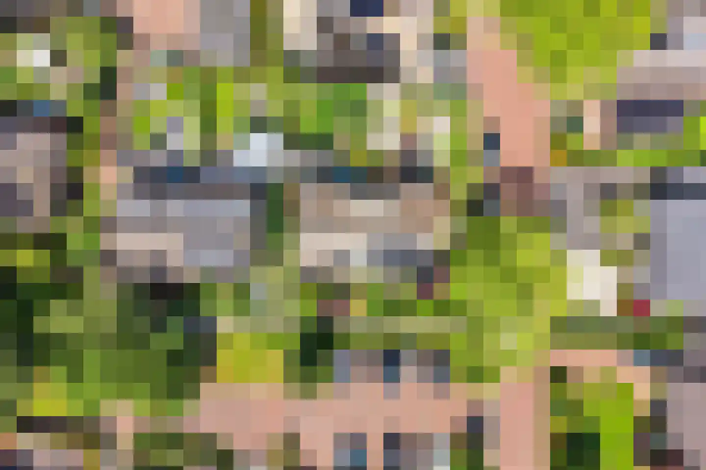 Duinroos 4 Leusden thumbnail 22