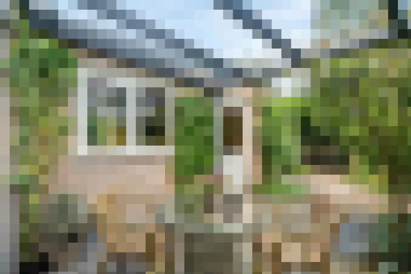 Duinroos 4 Leusden thumbnail 48