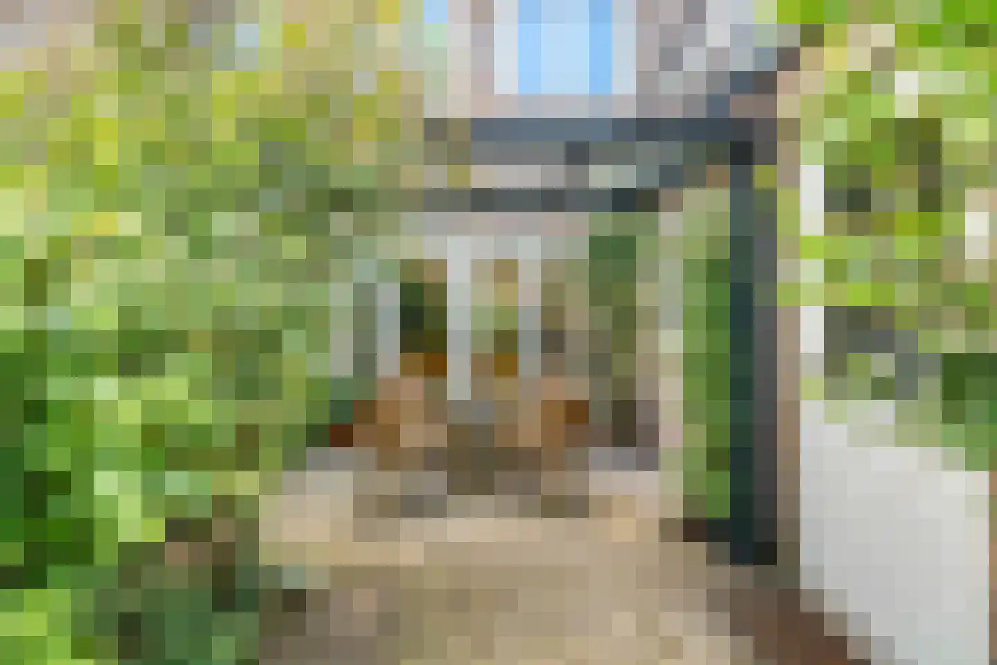 Duinroos 4 Leusden thumbnail 49