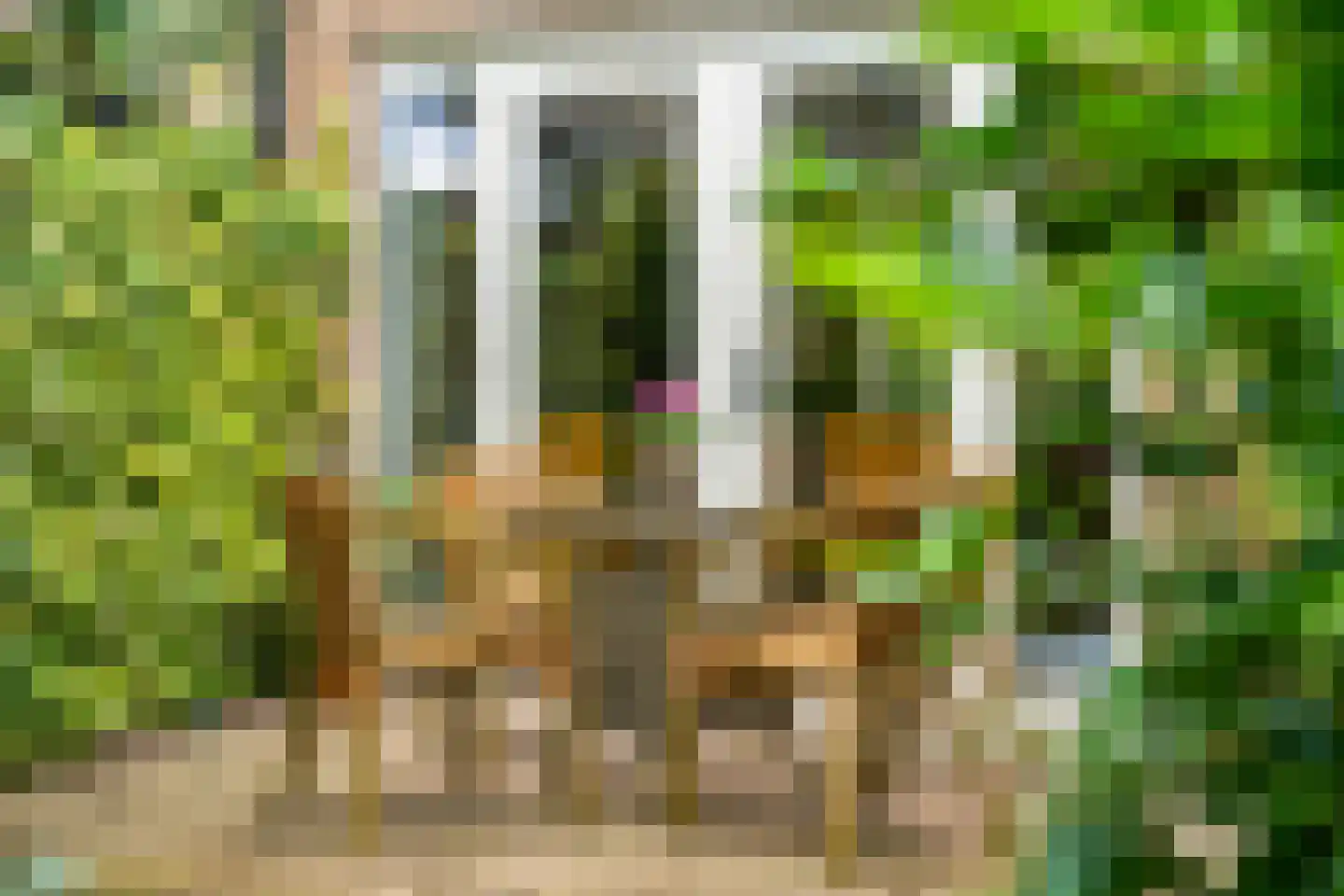 Duinroos 4 Leusden thumbnail 56