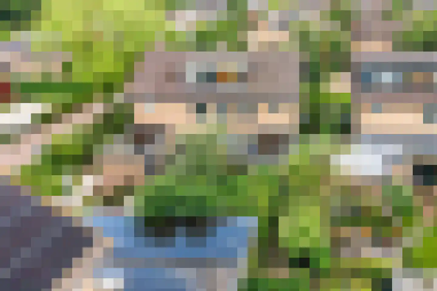 Duinroos 4 Leusden thumbnail 58