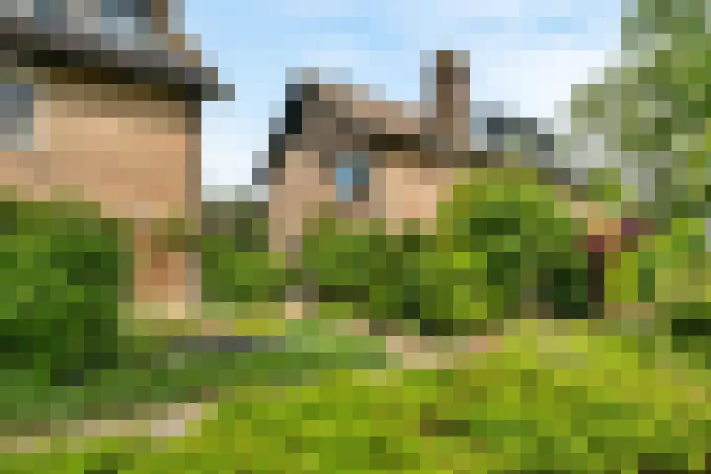 Duinroos 4 Leusden thumbnail 6