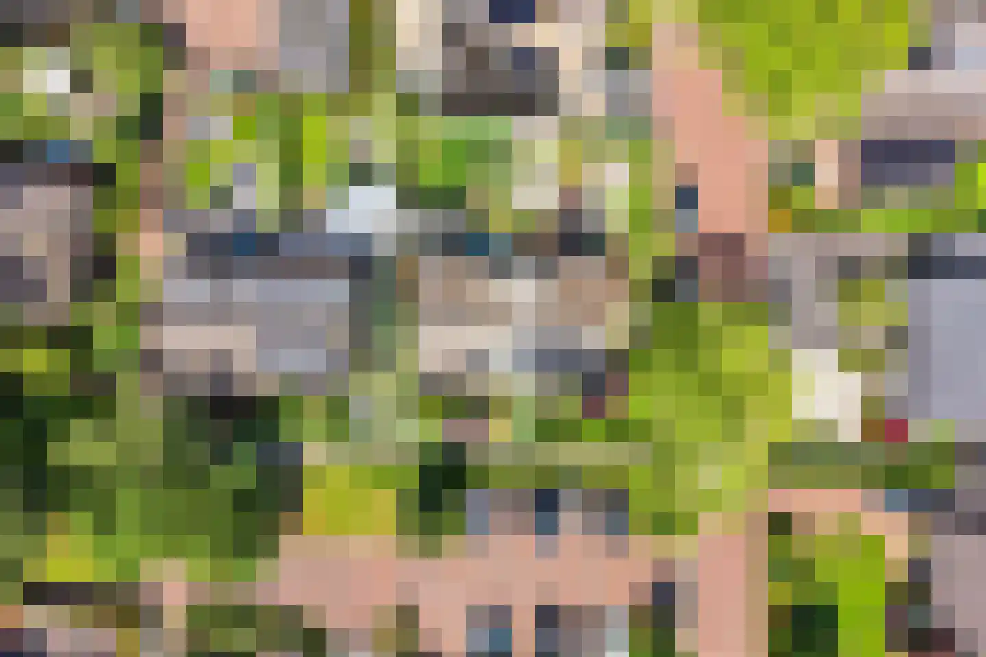 Duinroos 4 Leusden thumbnail 61