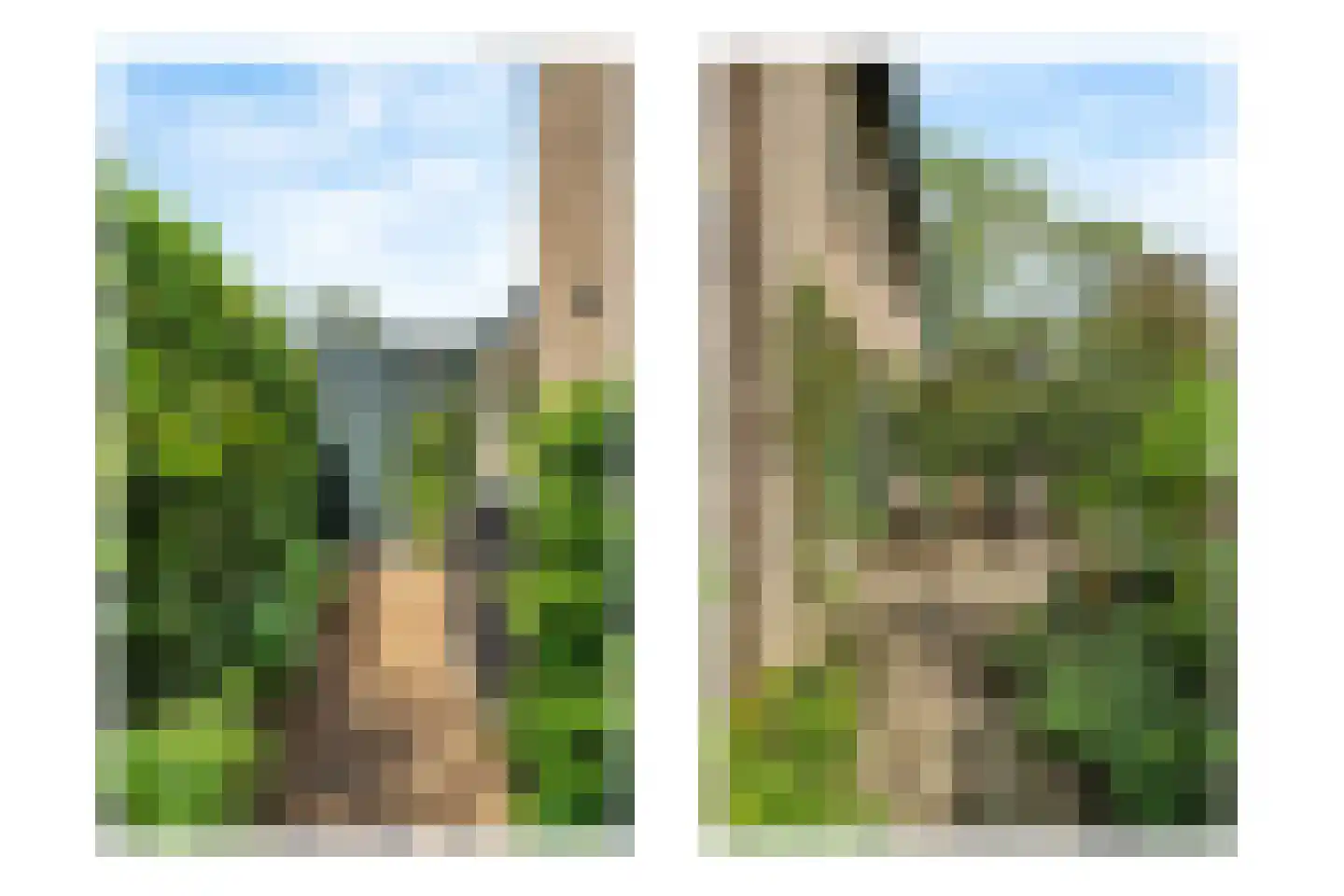 Duinroos 4 Leusden thumbnail 9