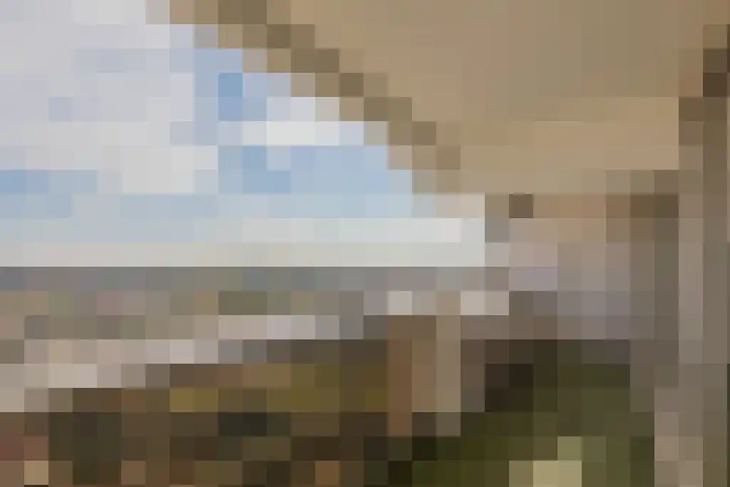 Duinroos 45 Noordwijk thumbnail 10