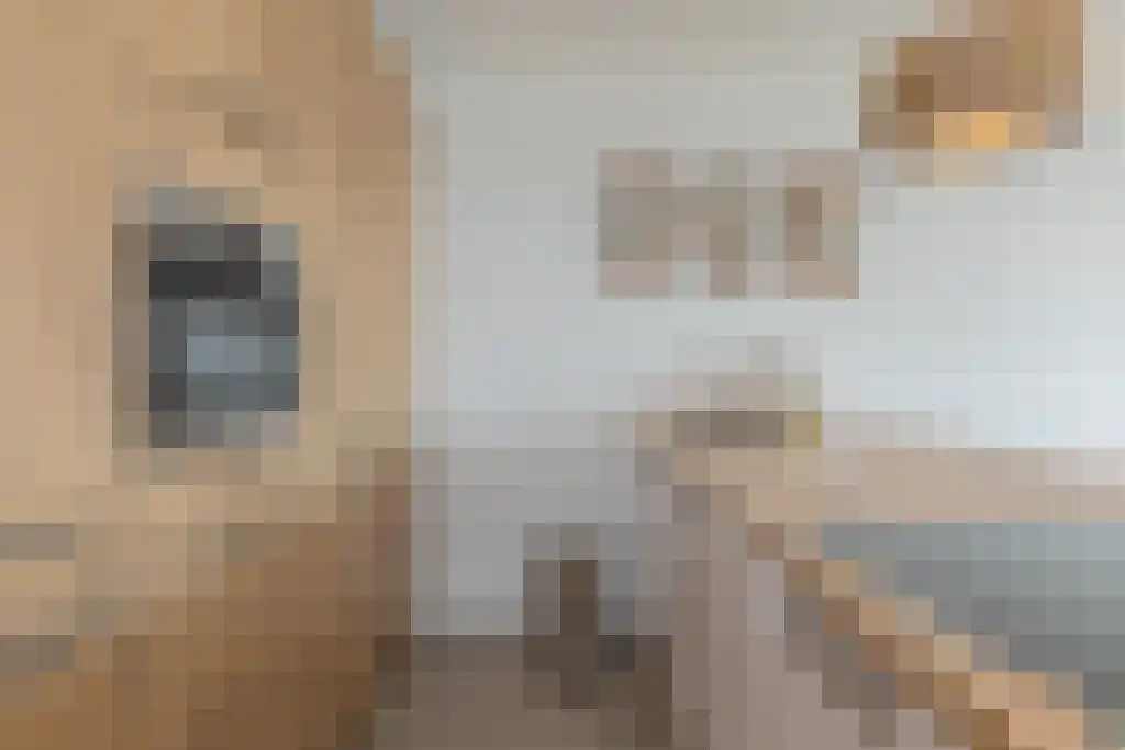 Duinroos 45 Noordwijk thumbnail 6