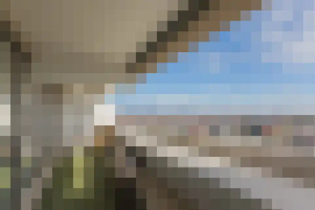 Duinroos 45 Noordwijk thumbnail 7