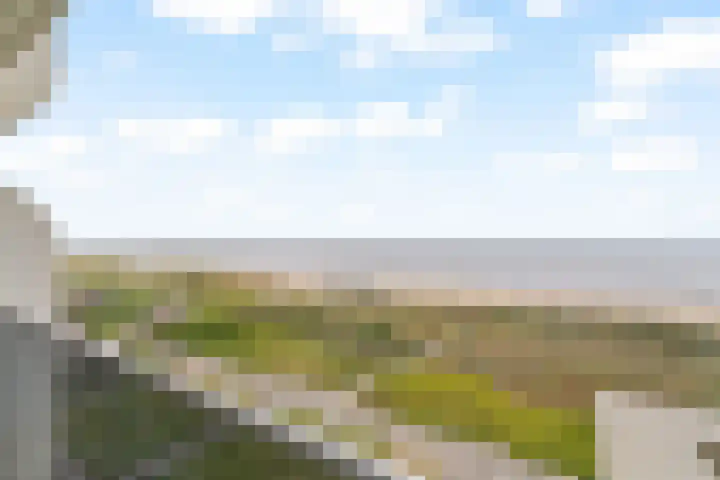 Duinroos 49 Noordwijk thumbnail 10