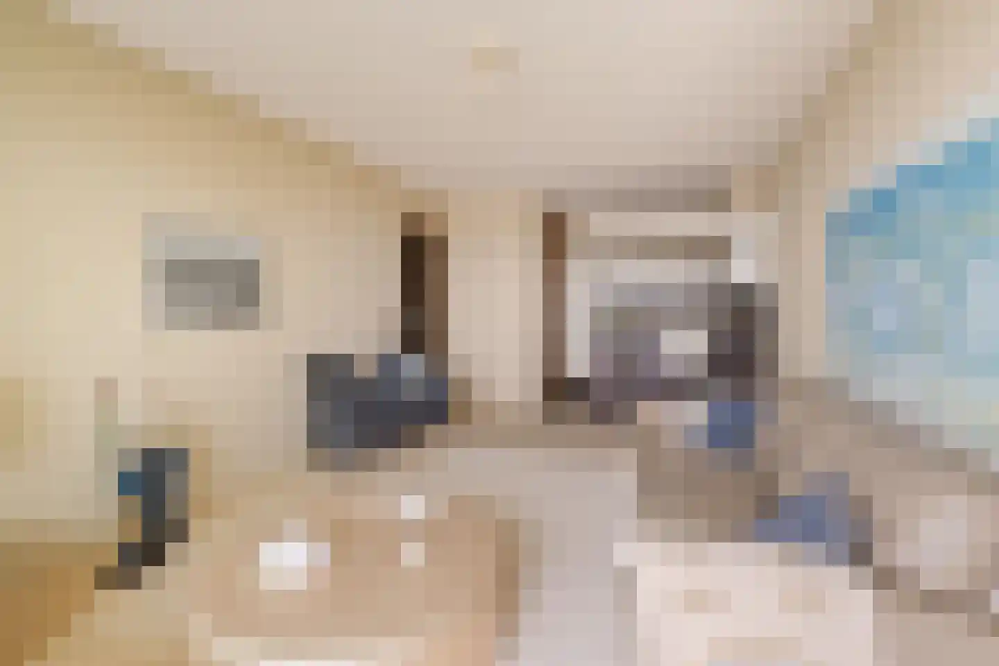 Duinroos 49 Noordwijk thumbnail 7