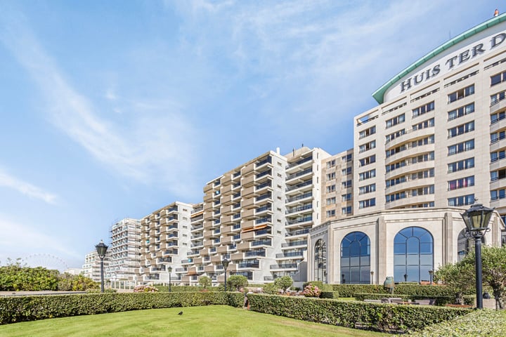 Duinroos 57 in Noordwijk foto