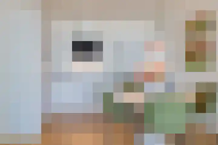 Duinroos 65 Noordwijk thumbnail 15