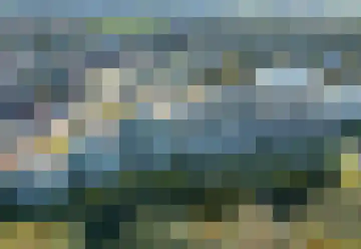 Duinroos 65 Noordwijk thumbnail 28