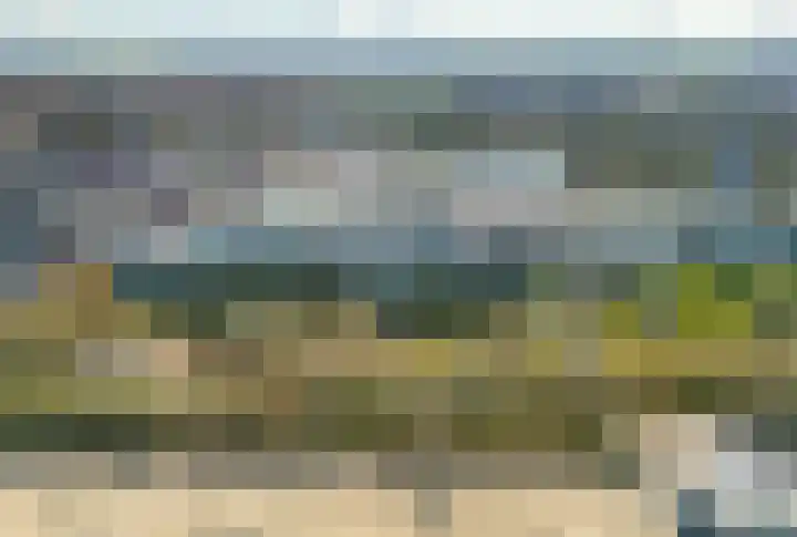 Duinroos 65 Noordwijk thumbnail 5