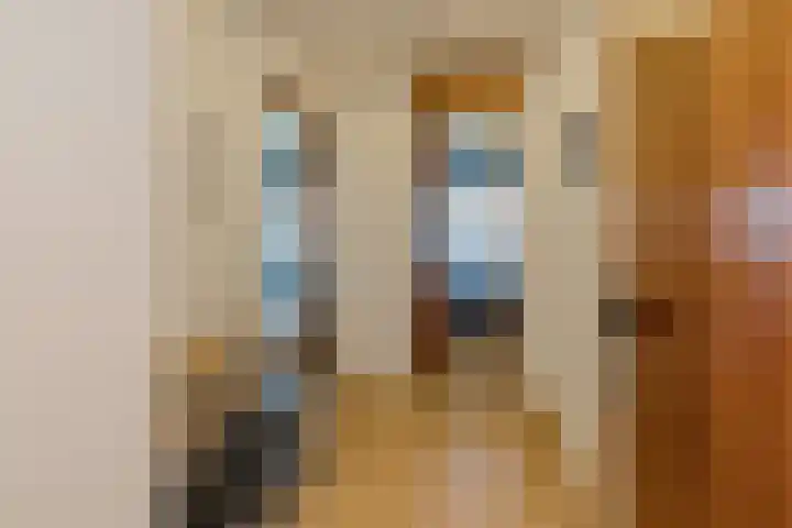 Duinroos 65 Noordwijk thumbnail 8
