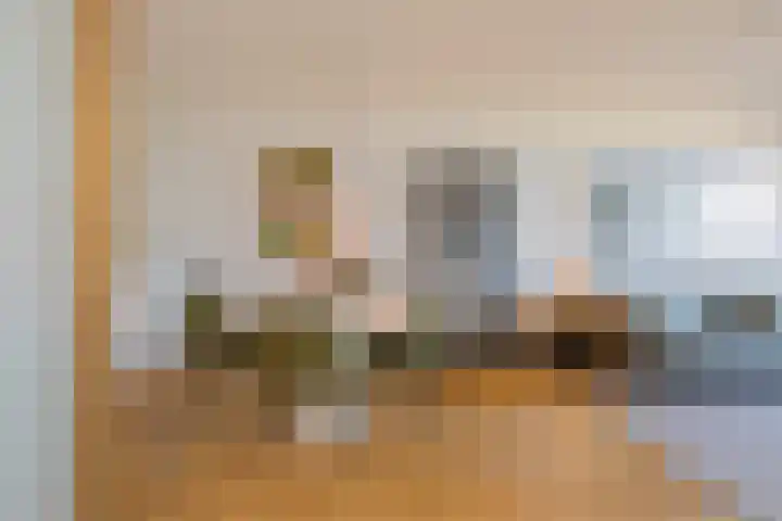 Duinroos 65 Noordwijk thumbnail 9