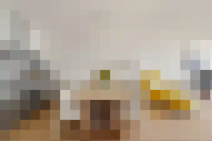 Duinroos 66 Noordwijk thumbnail 12