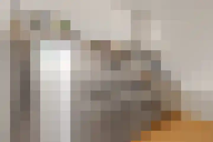 Duinroos 66 Noordwijk thumbnail 14