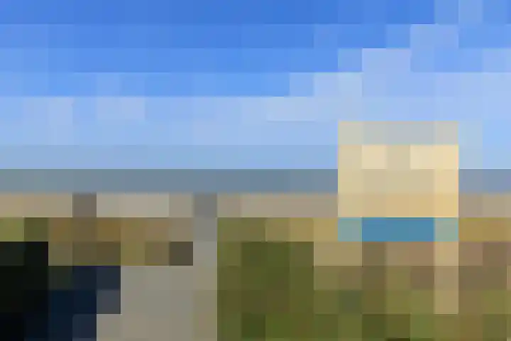 Duinroos 66 Noordwijk thumbnail 26
