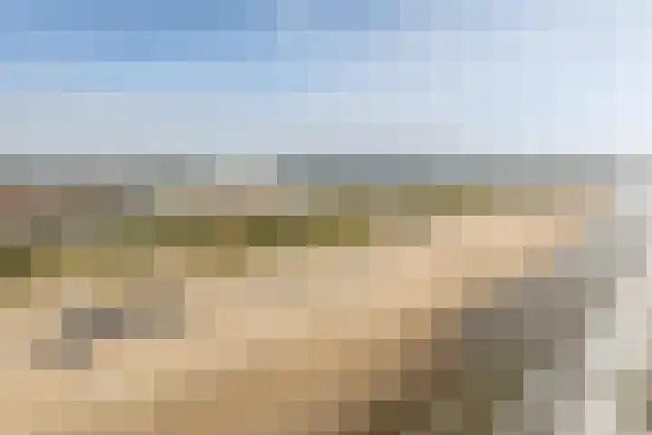 Duinroos 66 Noordwijk thumbnail 28
