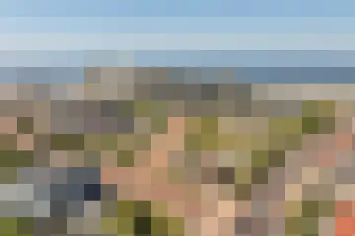 Duinroos 66 Noordwijk thumbnail 33