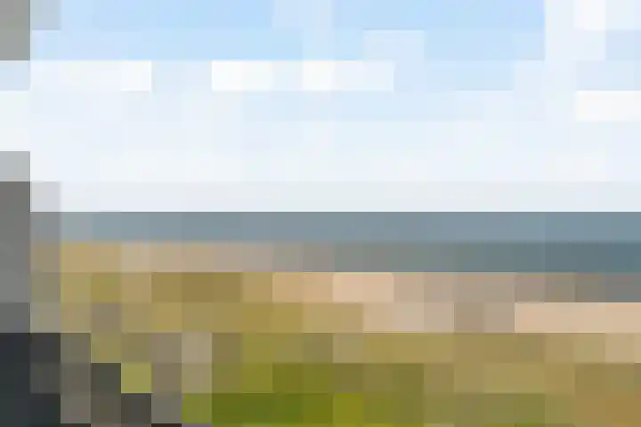Duinroos 66 Noordwijk thumbnail 8