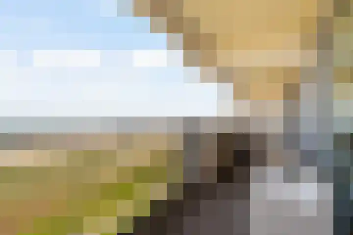 Duinroos 66 Noordwijk thumbnail 9