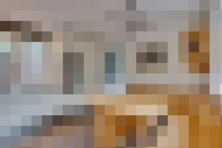 Duinroos 9 Leusden thumbnail 10