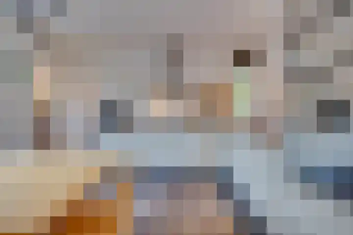 Duinroos 9 Leusden thumbnail 11