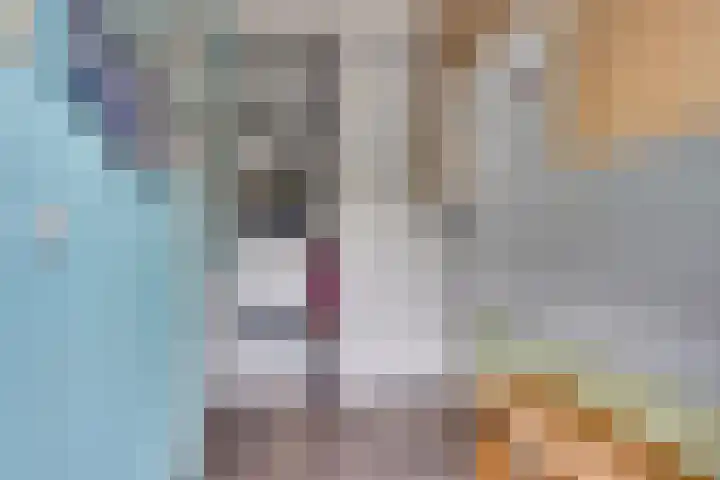 Duinroos 9 Leusden thumbnail 13