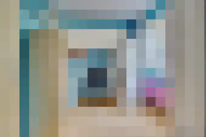 Duinroos 9 Leusden thumbnail 15