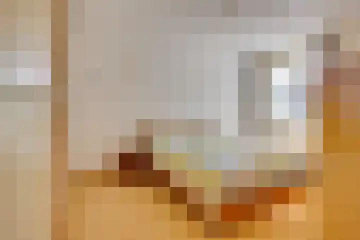 Duinroos 9 Leusden thumbnail 16