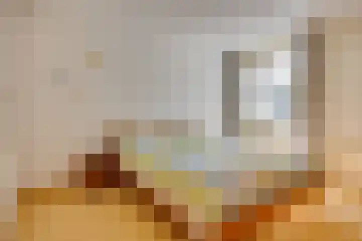 Duinroos 9 Leusden thumbnail 17