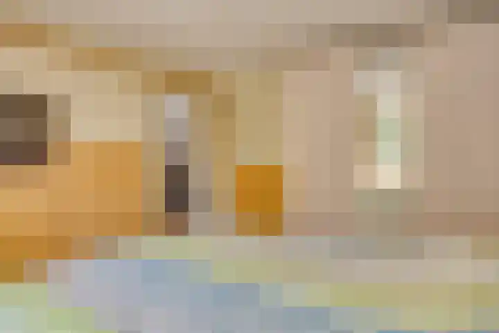 Duinroos 9 Leusden thumbnail 18
