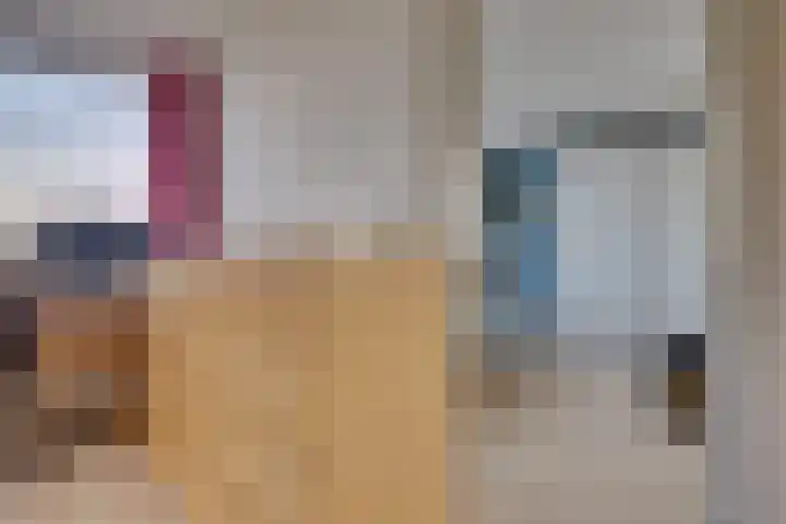 Duinroos 9 Leusden thumbnail 22