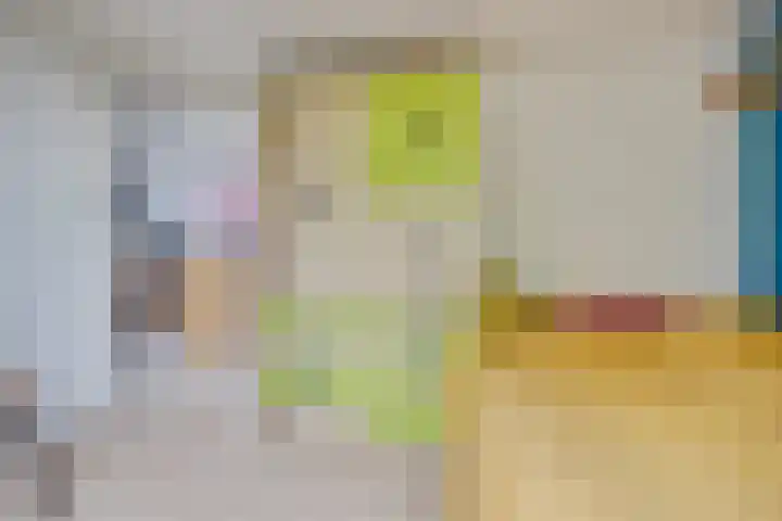 Duinroos 9 Leusden thumbnail 25